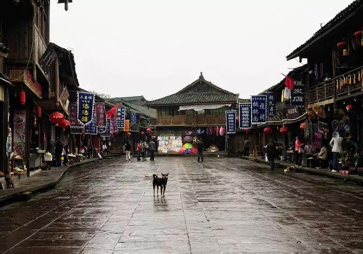 青少年体适能教练怎么考？在哪报名？含金量高吗？